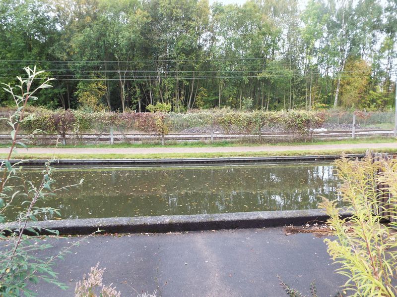 Raddlebarn Farm Drive Selly Oak